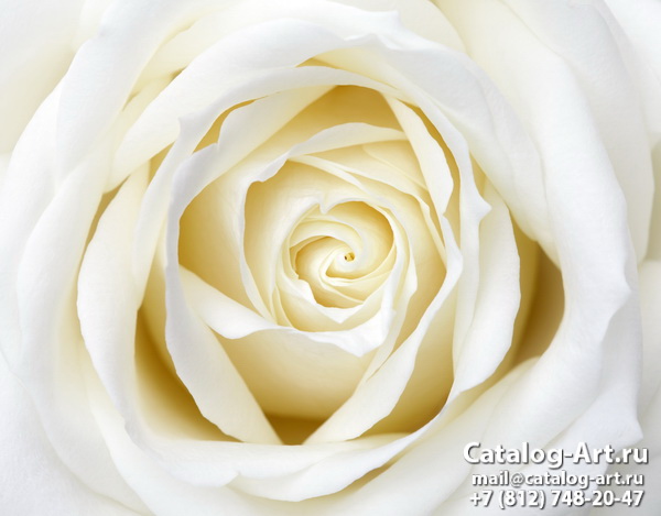 Натяжные потолки с фотопечатью - Белые розы 49